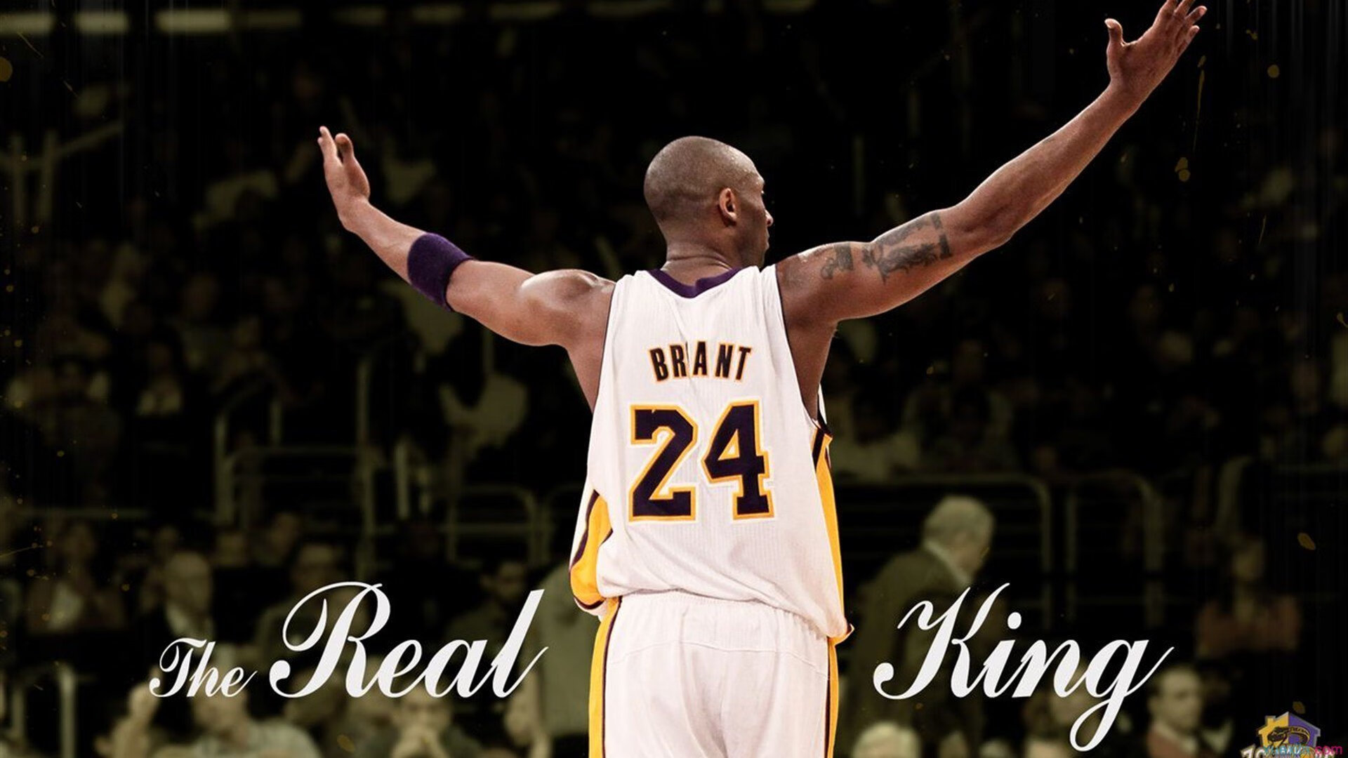 球迷文化：从传统到数字的完美融合，球迷语言